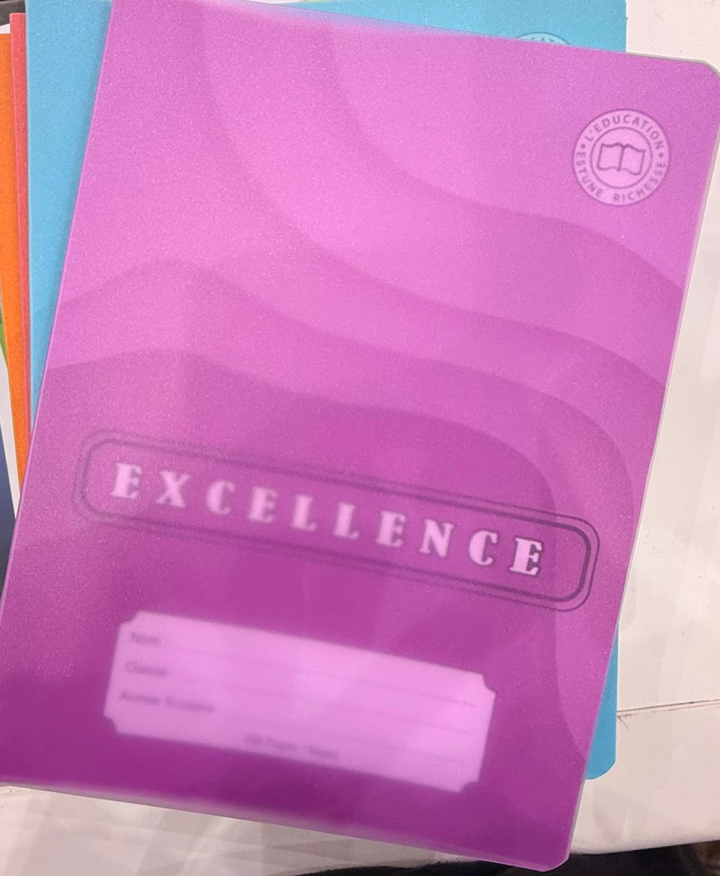 Paquet de cahiers 100 pages plastiques (10 pièces)